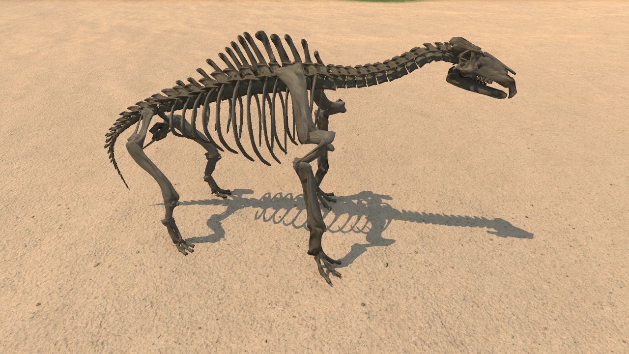 Paraceratherium Skeleton
