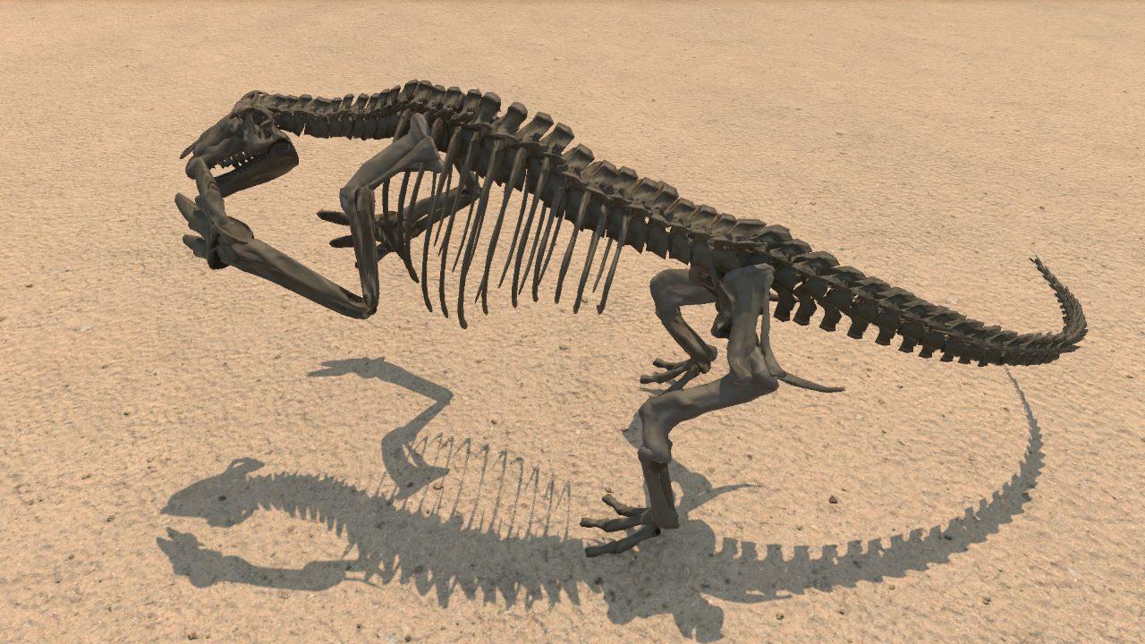 Ground Sloth Skeleton