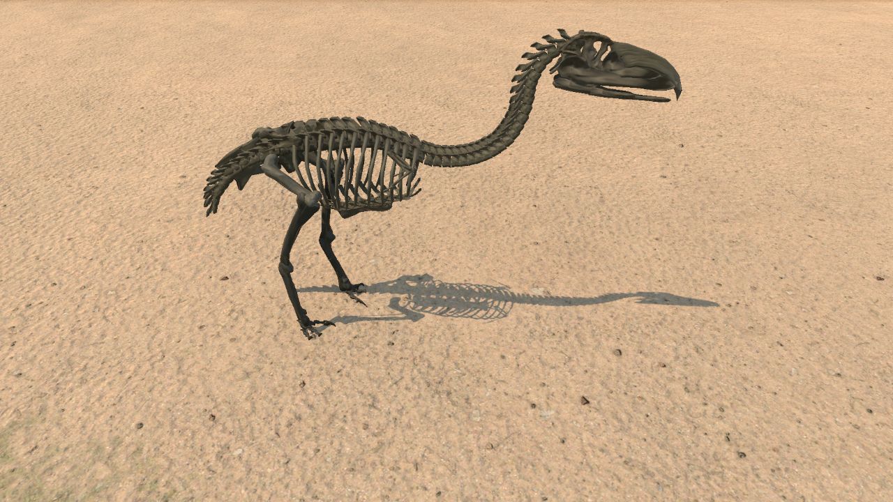 Gastornis Skeleton