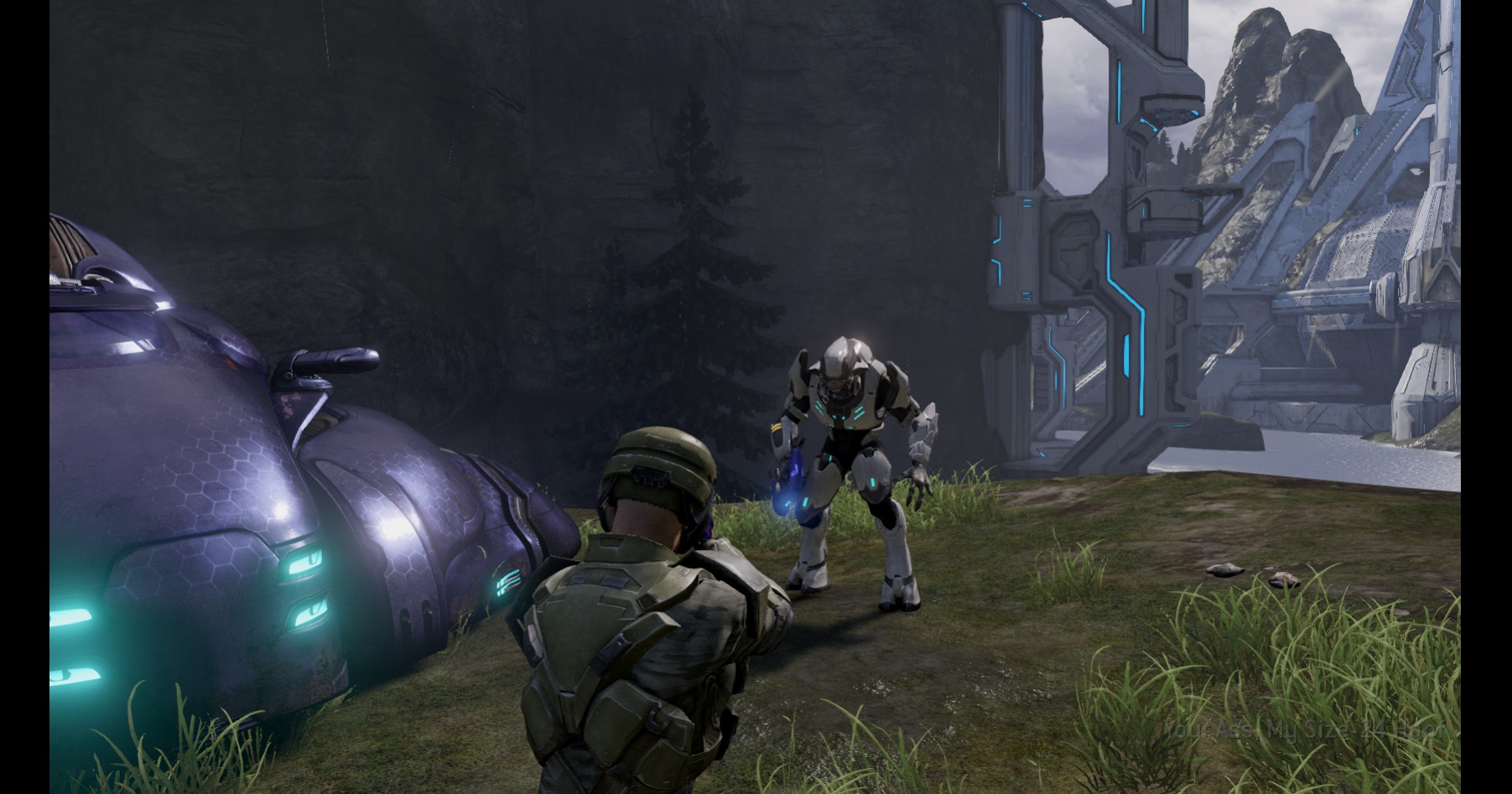 Halo 2 Infantry mod