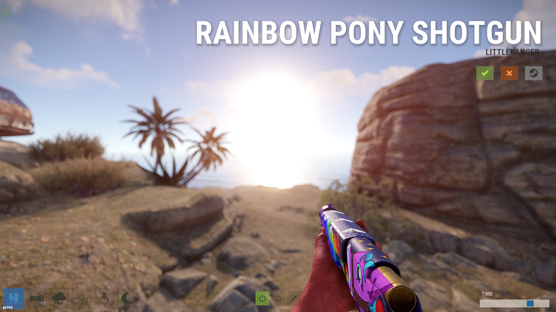 Rainbow Pony Shotgun