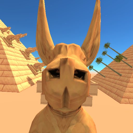 Desert Gus