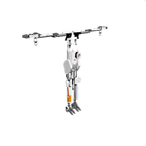 P - Body (Large Complexity)