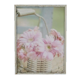 Provence Paintings [Pink Pastel] #1