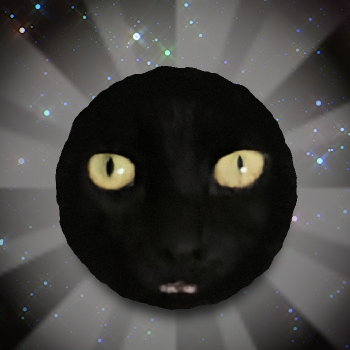 Black Cat Petit Cookie