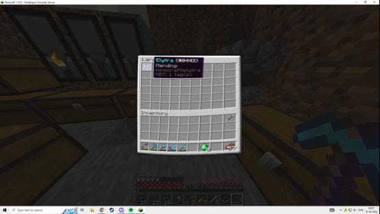pletra why tho'? – Counter-Strike 2 Mod