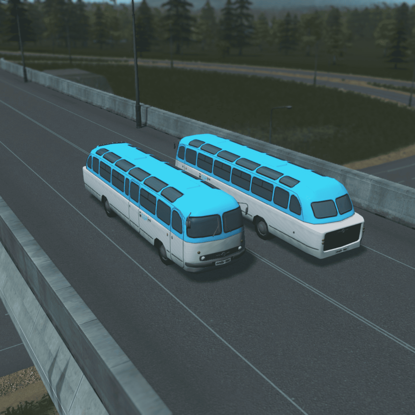 Sightseeing Bus