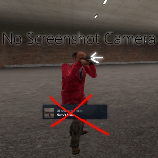 No Screenshot Camera preview