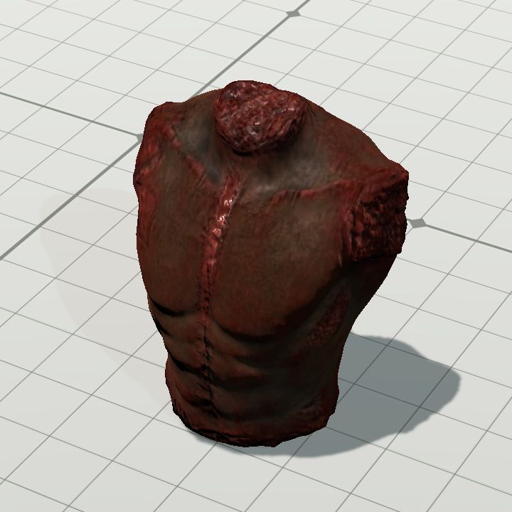 BP-Torso