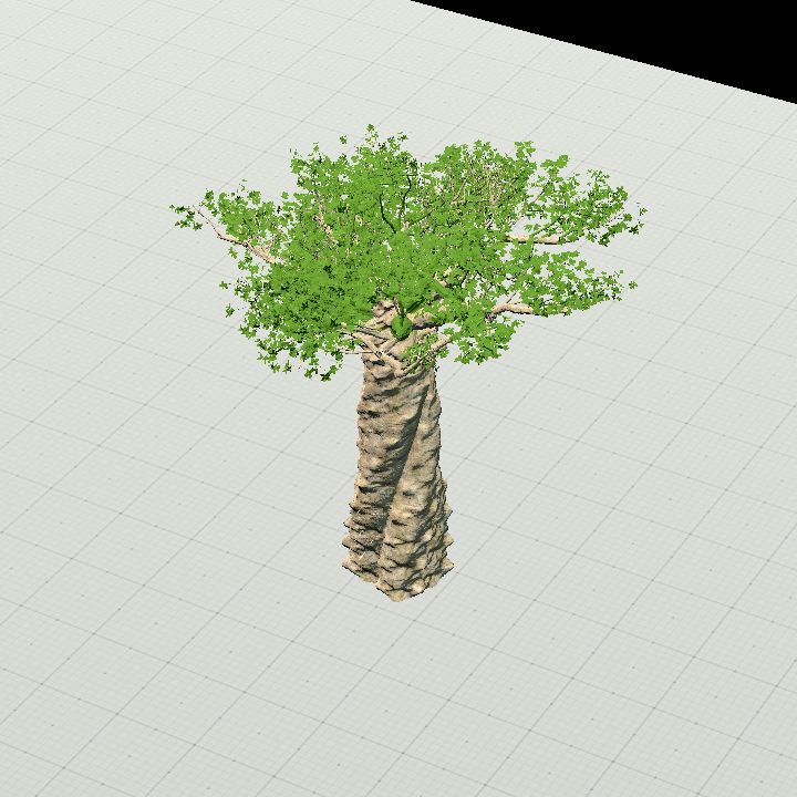 Baobab