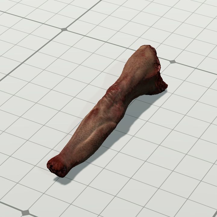 BP-Rleg2