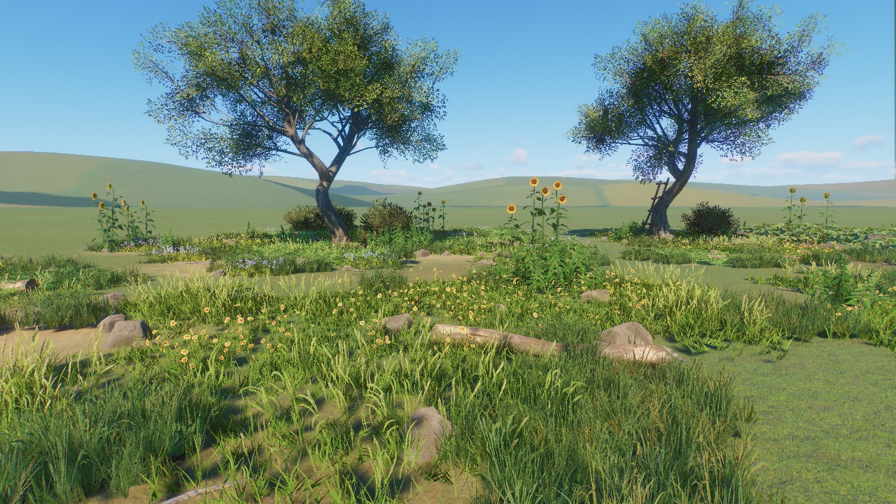 Meadow
