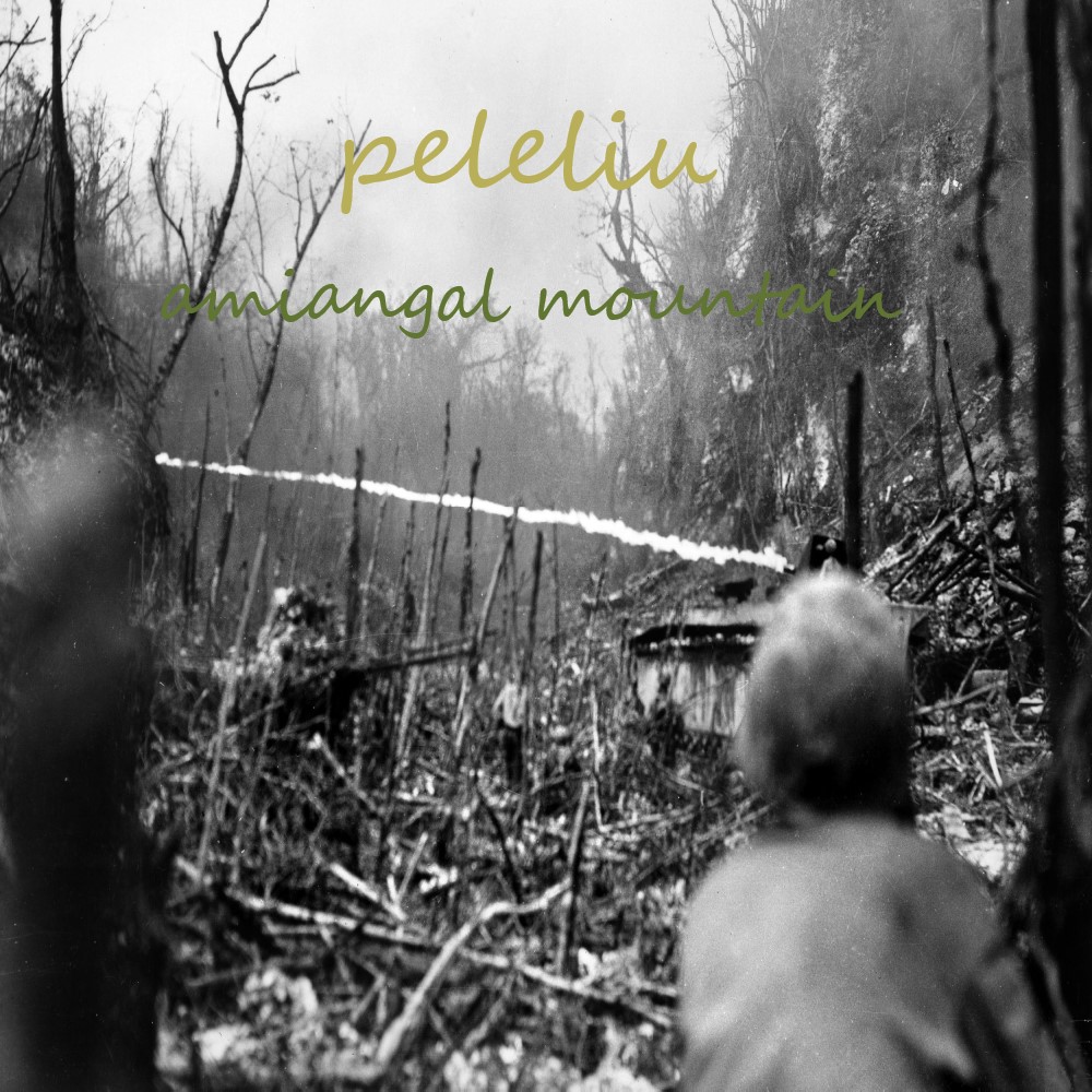 Peleliu Part VIII: Amiangal Mountain [Mission]