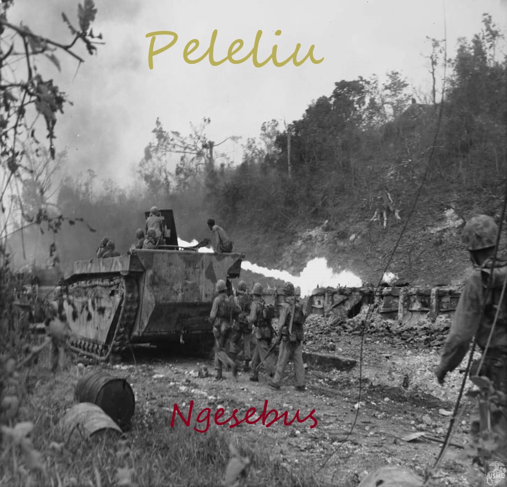 Peleliu Part IX: Ngesebus [Mission]