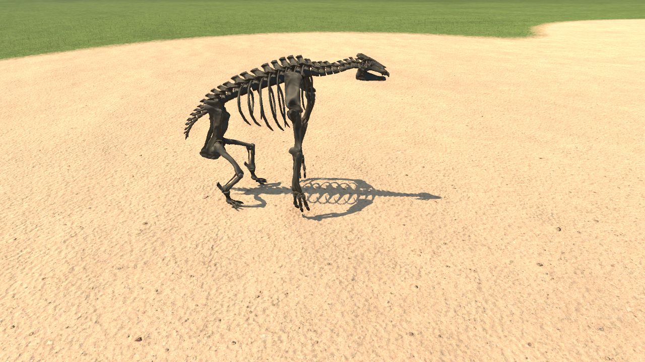 Chalicotherium Skeleton