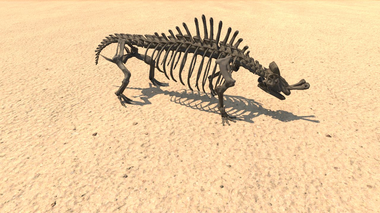 Megacerops Skeleton