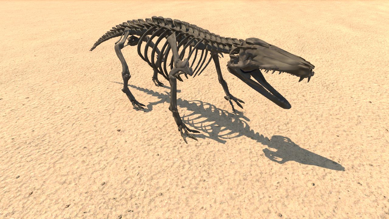 Andrewsarchus Skeleton