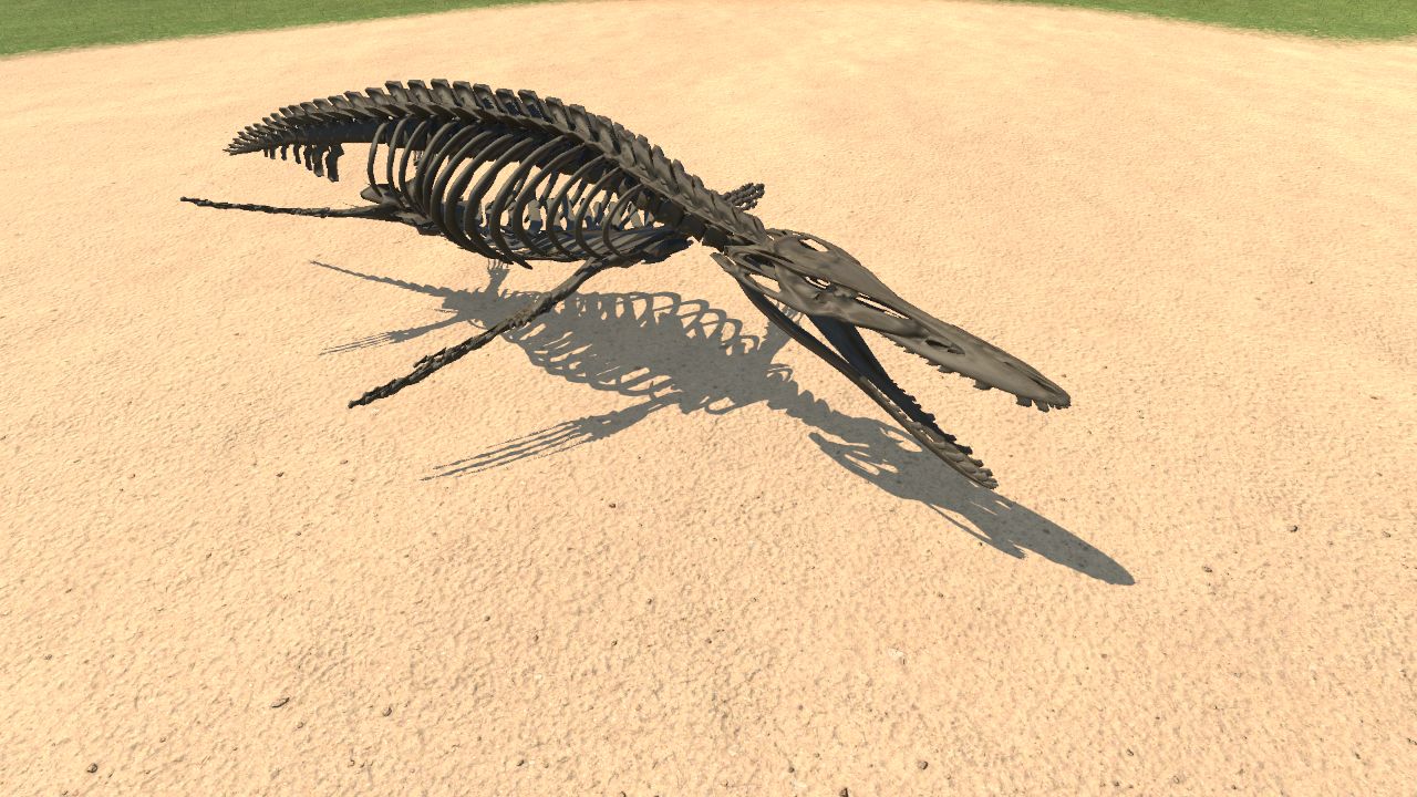 Liopleurodon Skeleton