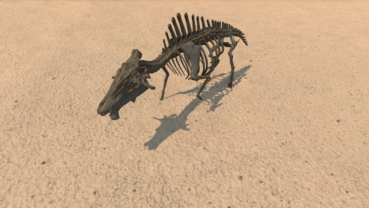 Entelodont Skeleton
