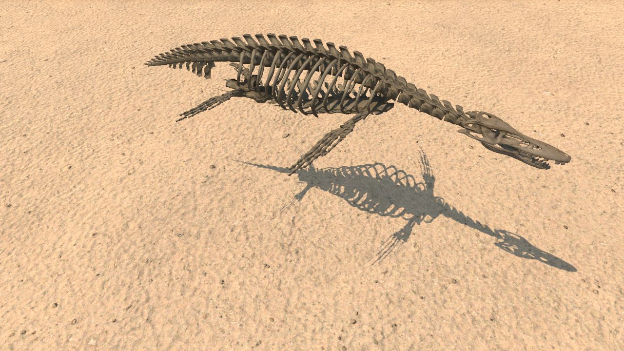 Rhomaleosaurus Skeleton