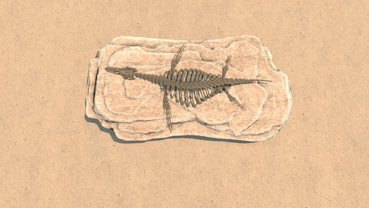 Rhomaleosaurus Skeleton 2