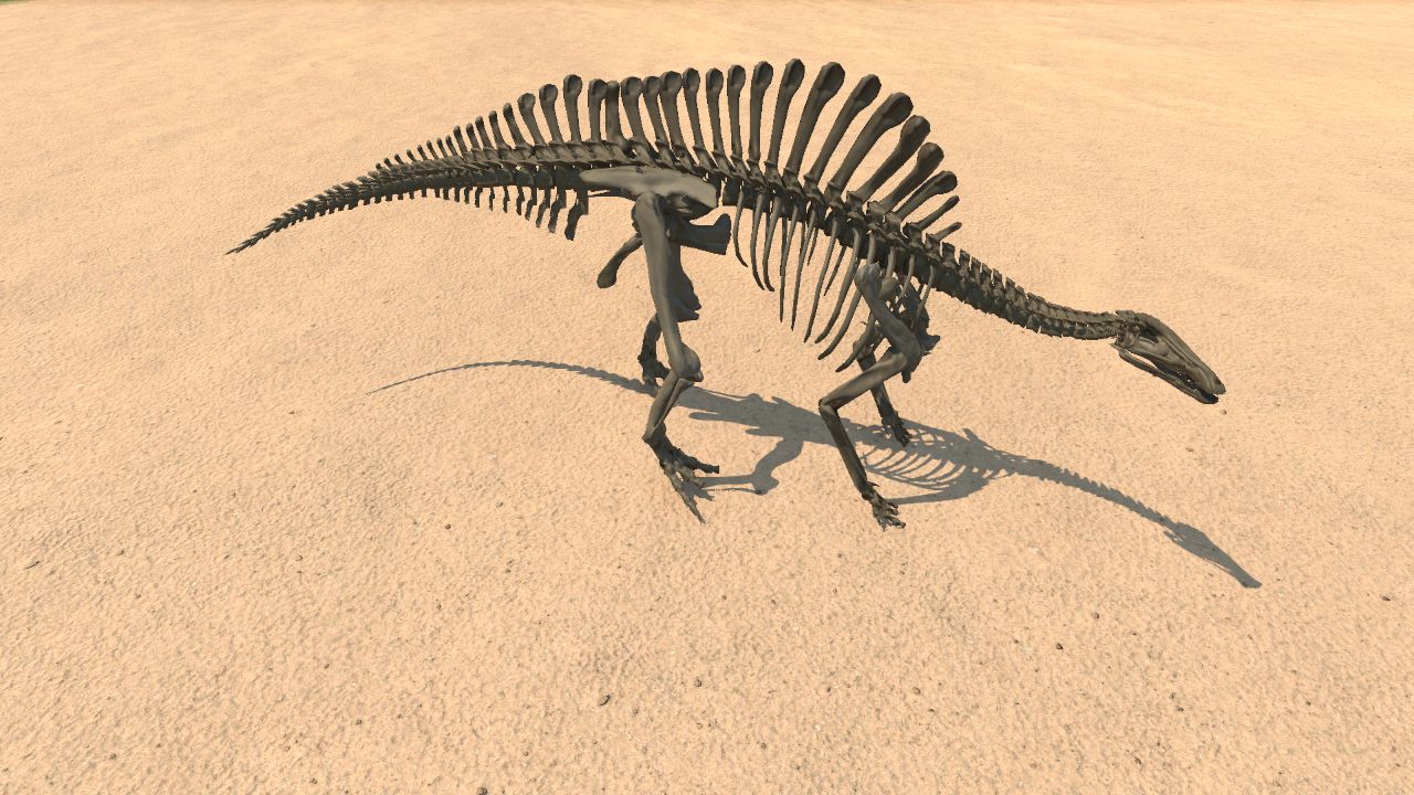 Ouranosaurus Skeleton