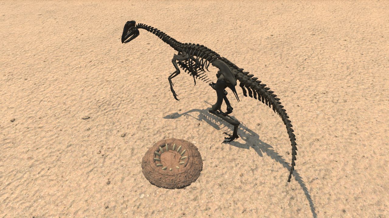 Oviraptor Skeleton and Nest