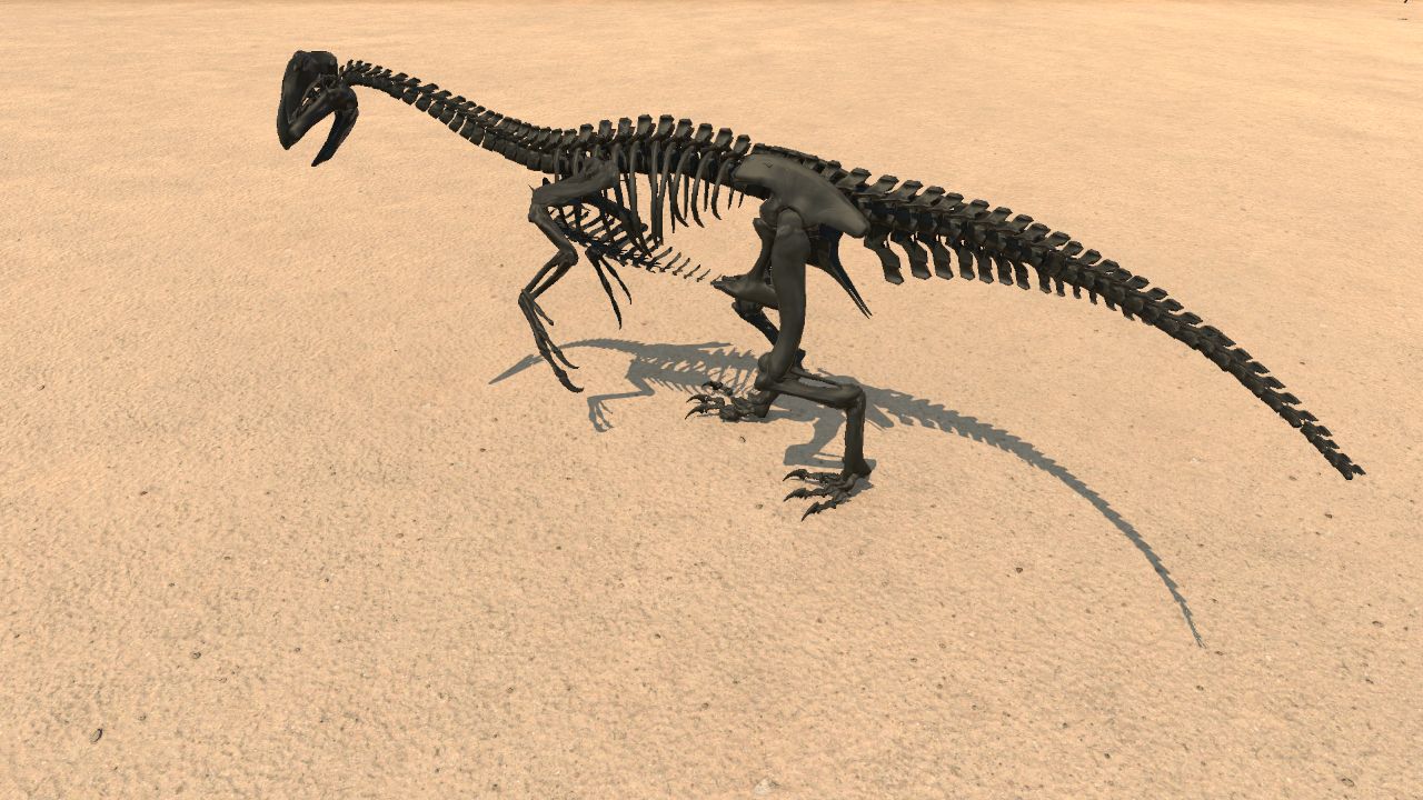 Gigantoraptor Skeleton