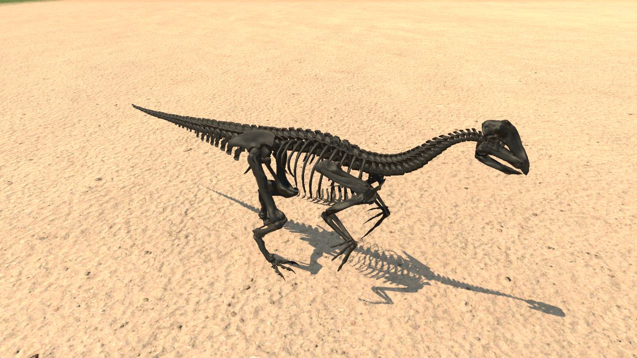 Oviraptor Skeleton