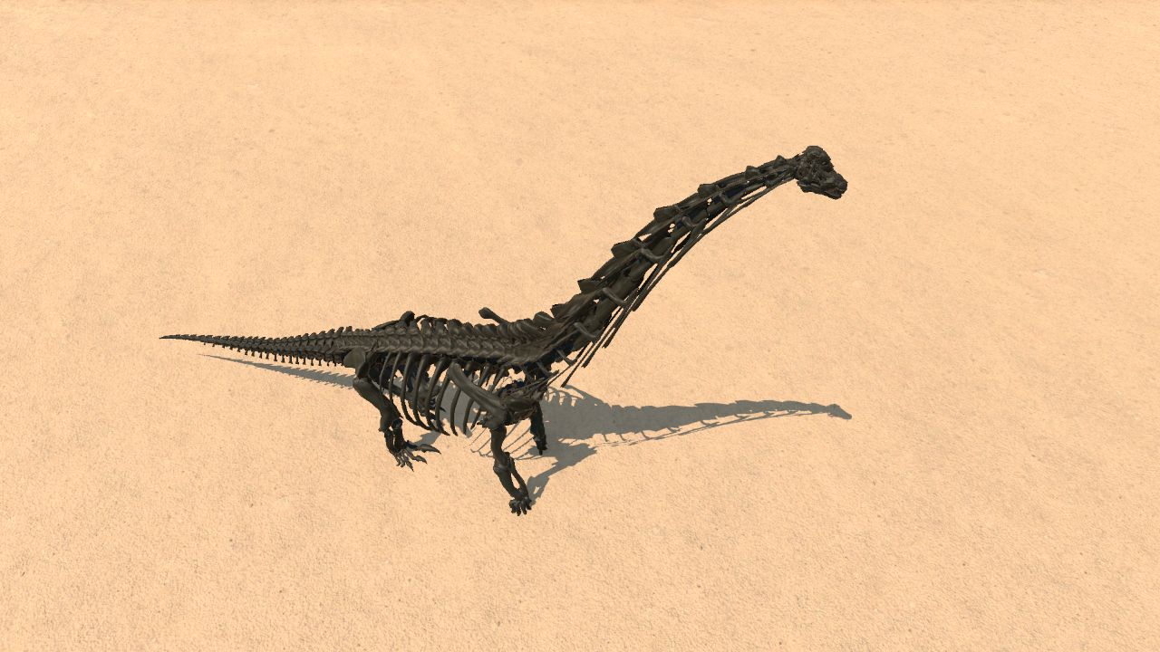 Giraffotitan Skeleton