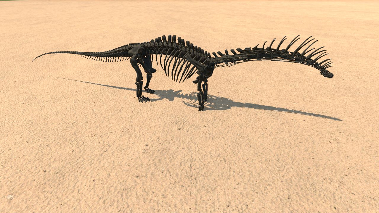 Bajadasaurus Skeleton