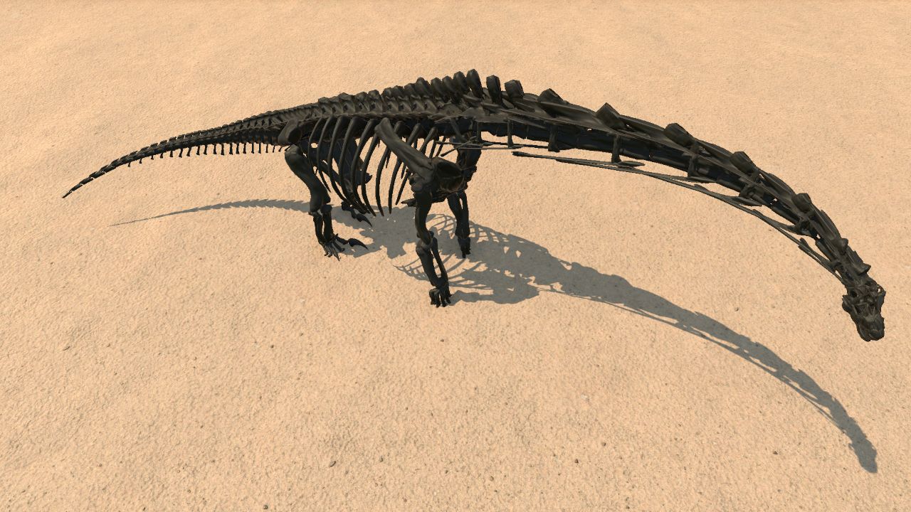 Alamosaurus Skeleton