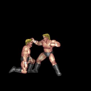 American Punch(Opponent Down - Face Down Near Head)