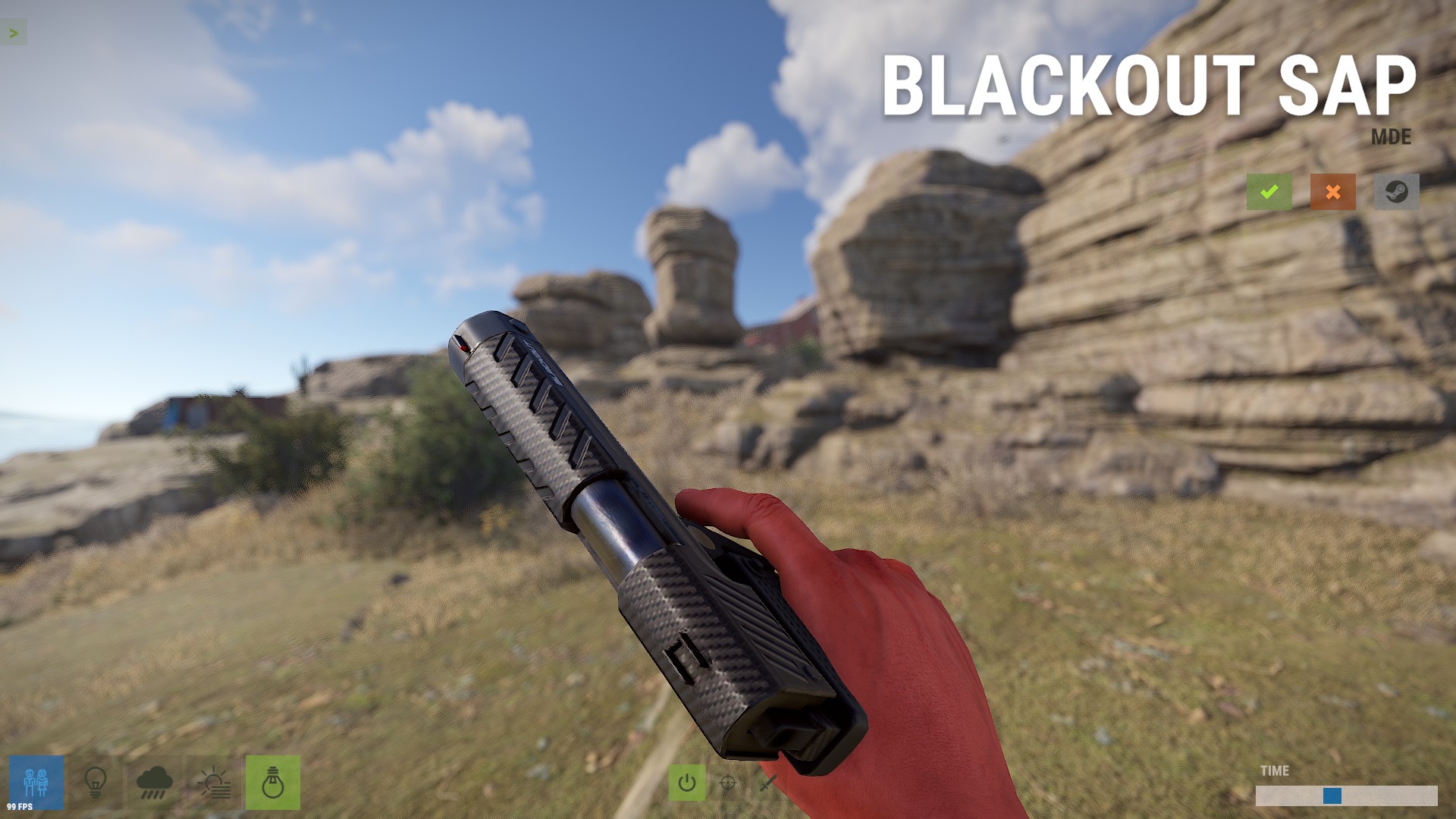 Blackout SAP