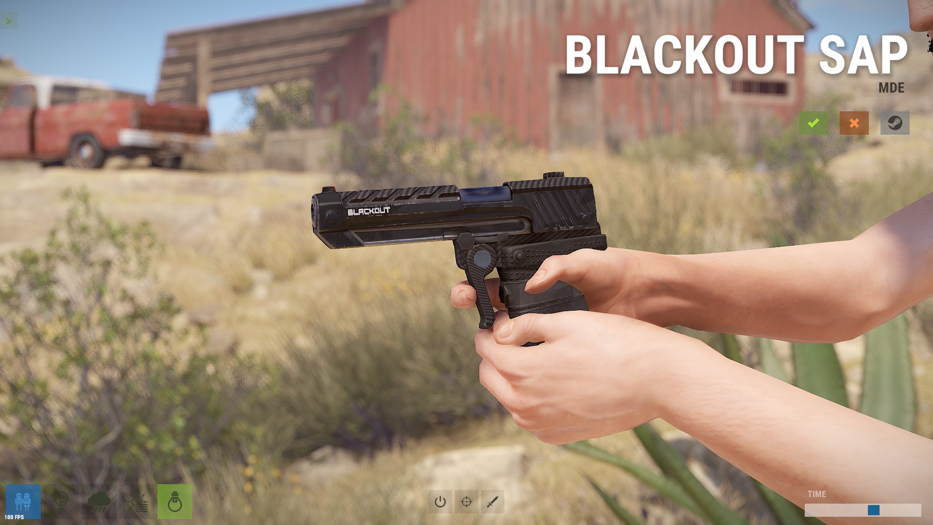 Blackout SAP