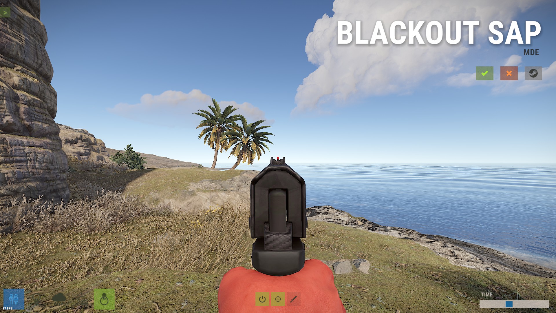 Blackout SAP