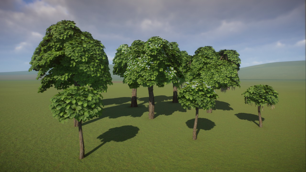 Catalpa Tree