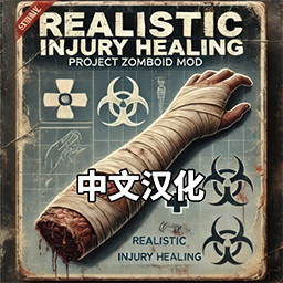 Realistic Injury Healing 中文汉化