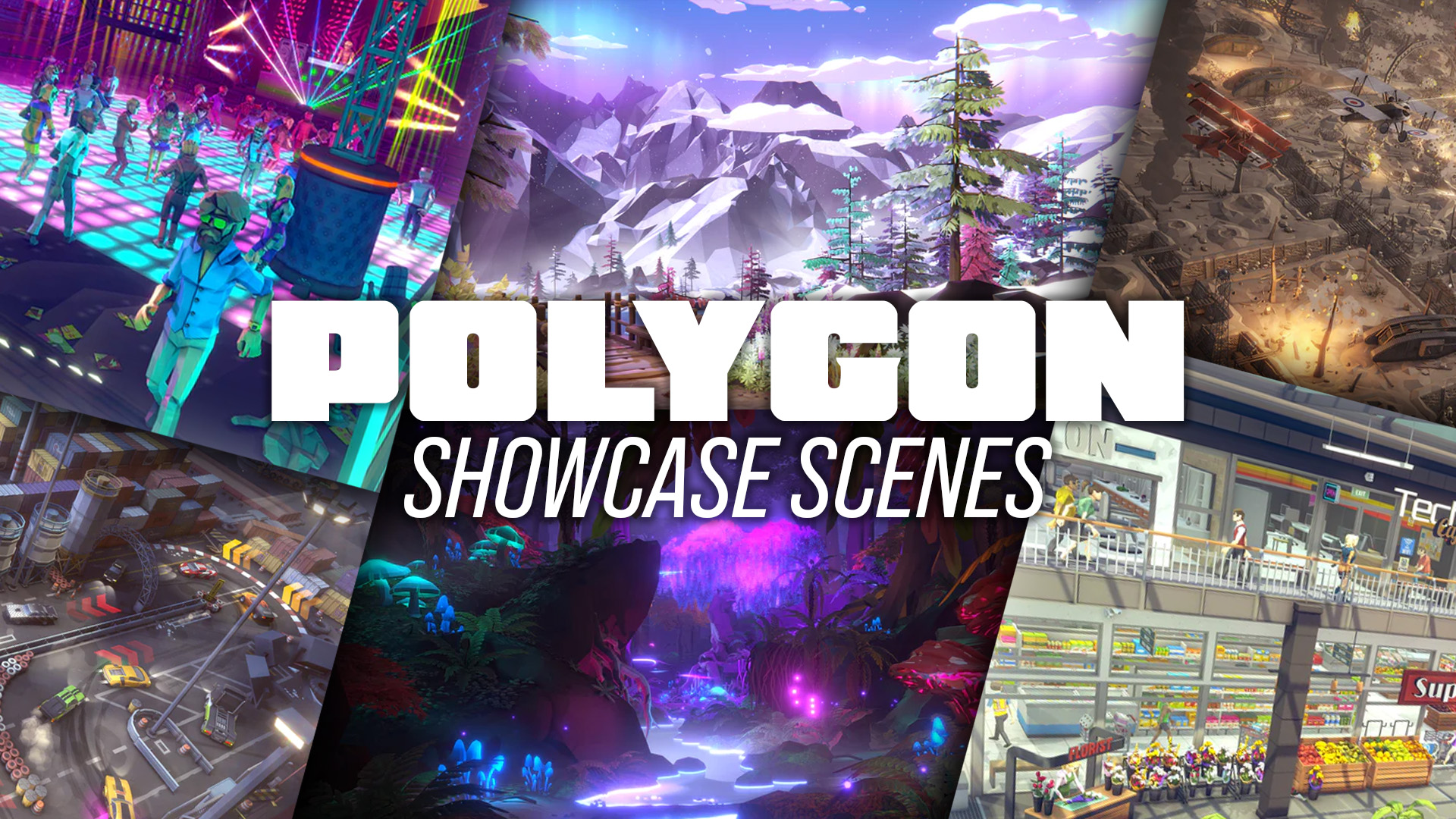 Polygon Scenes