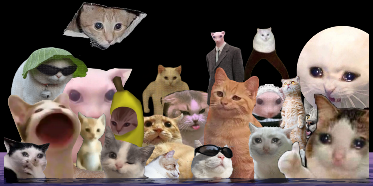 Pussy Paradise