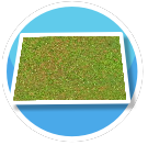 4K Grass