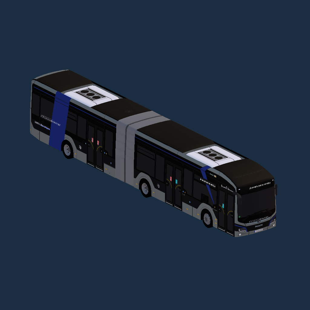 Réseau Mistral : Man Lion's City E 18