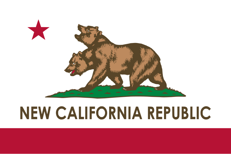 NCR Flag preview