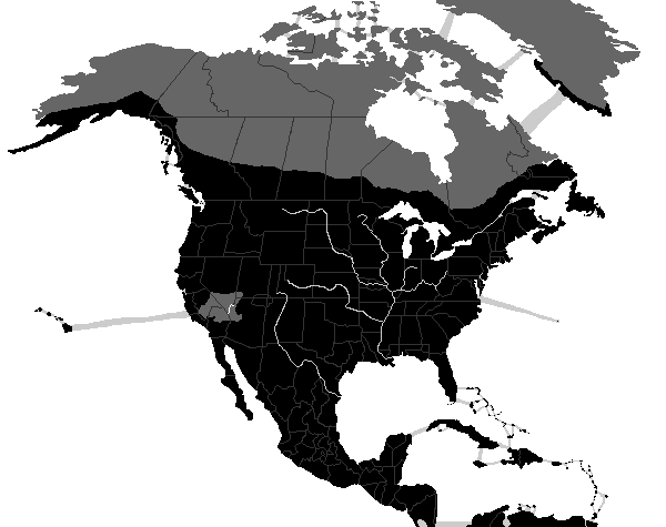 North America 4