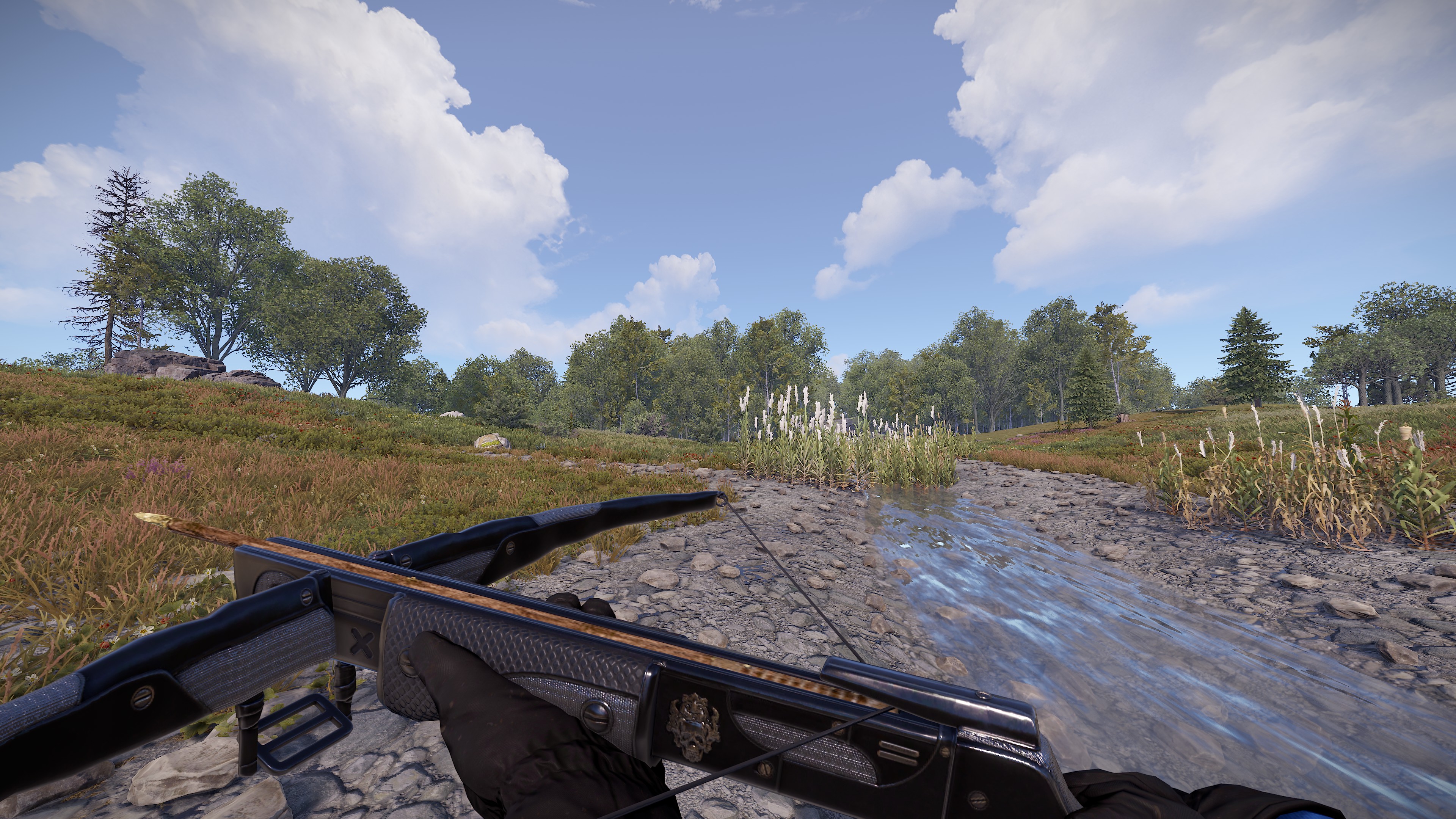 Black Diamond Crossbow thumbnail 5