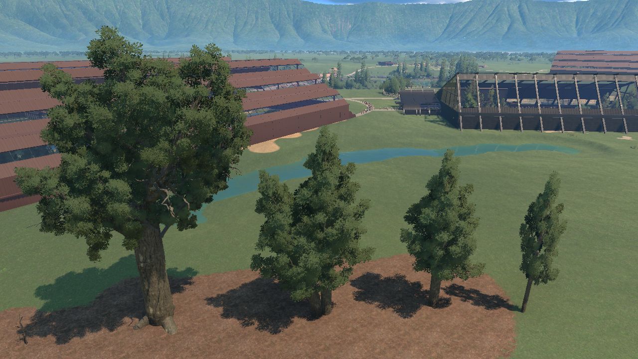 Bull Kauri