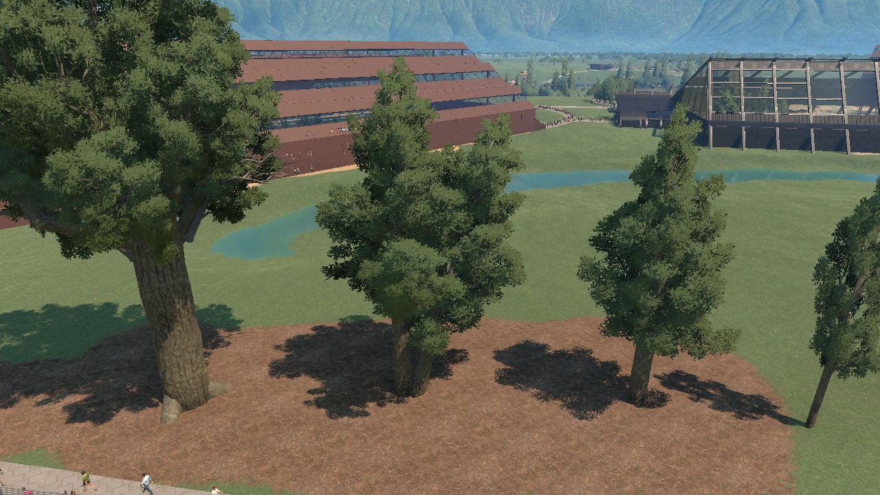 Bull Kauri 2