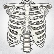 Andrews Ribcage – tModLoader Mod