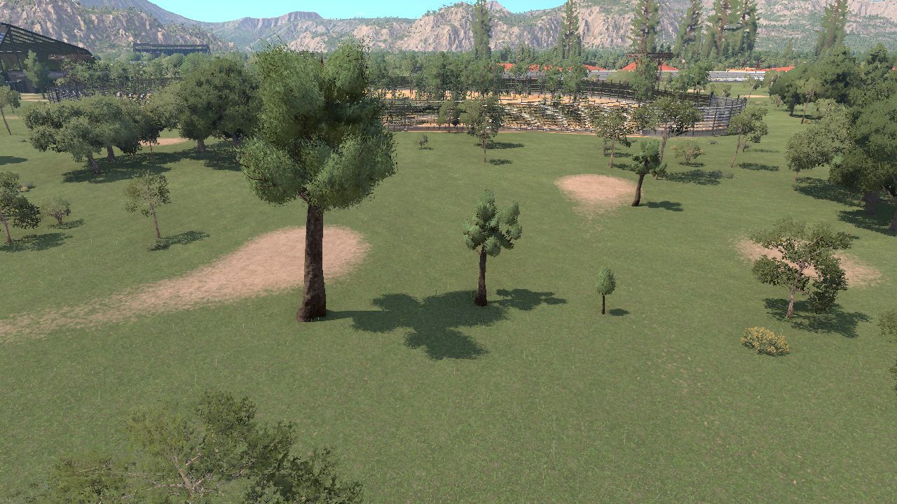 Podocarpus