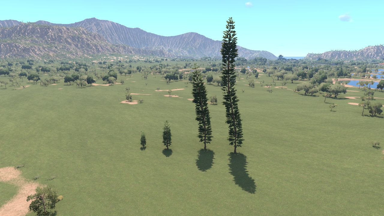 Cook Pine